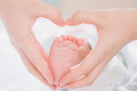 http://suzhou.51dzb.net/post/188.html|苏州新闻中心